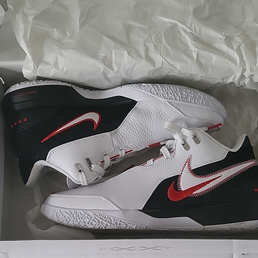 Nike ZM LEBRON NXXT GEN AMPD